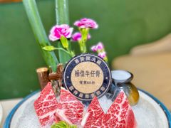 -喜聚薈·花膠雞海鮮火鍋(越秀店)