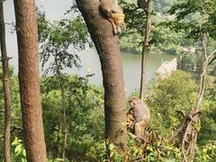-黔灵山公园