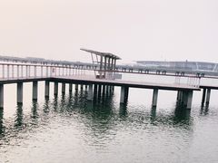 -天津金海湖