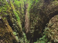 -青城山