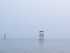 -海之味海鲜大咖·家常菜