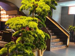 -百富源·海鲜辽菜(和平北大街店)