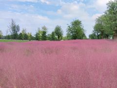 -汉长安城未央宫国家考古遗址公园
