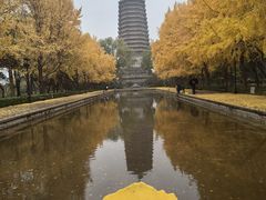 -玲珑塔公园