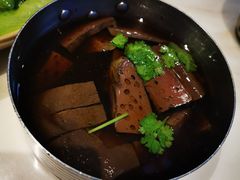-MR鹅外