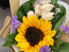 -循礼门鲜花花市(武汉循礼门店)