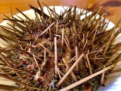 -海胆小馆(东北水饺·春柳店)