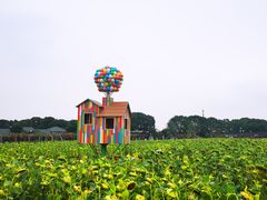 -苏州太湖西山岛开心农场