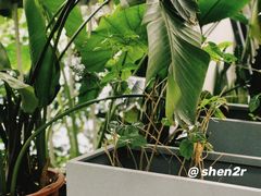 -ADO KAFE(大学城店)