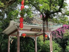 -广州市白云山风景名胜区
