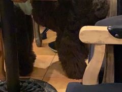 -more than meow吴止猫主题餐厅(承德 中船汇店)