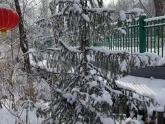 -水磨沟公园
