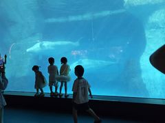 -海合安武汉极地海洋公园