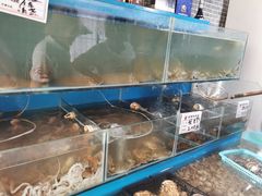 水产区-云南巷海鲜大咖·可加工海鲜