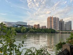 -运河游船(武林门码头)