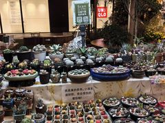 -瑞虹新天地月亮湾
