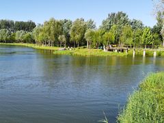 -东郊湿地公园