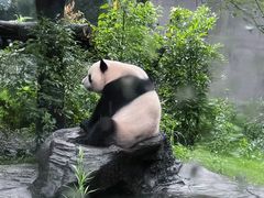 -成都动物园