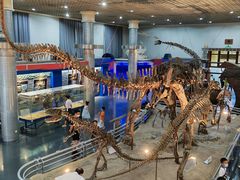 -国家自然博物馆