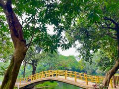 -晓港公园