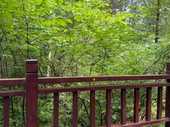 -汤旺河林海奇石景区