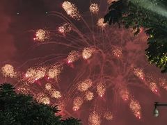 -广州白天鹅宾馆