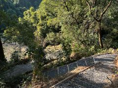 -广州市帽峰山景区
