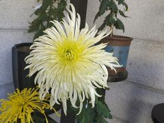 -沈阳植物园