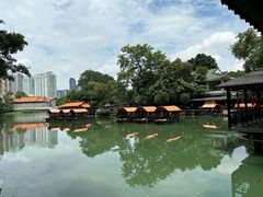 -侨美·唐荔园·40年地道粤菜