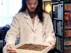 -诗宇时光茶艺书法古琴培训