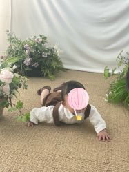 -时光礼孕婴儿童摄影(新北店)