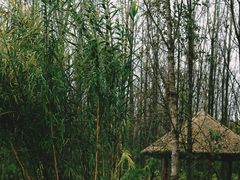 -白鹭湾湿地公园