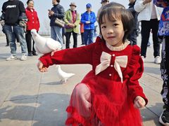 -天津妈祖文化园