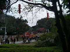 -金鸡山公园