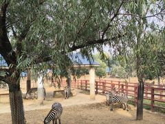 -石家庄市动物园