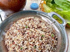 -蘑统田下·野生菌火锅