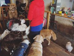 -萌喵咖啡屋(人民东路4号口M16商铺店)