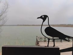 -野鸭湖国家湿地公园