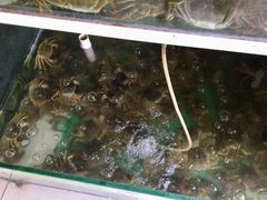 -阳澄湖大闸蟹·琼灵阁牌品牌连锁(吴中总店)