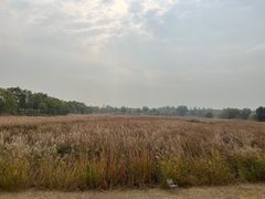 -北京鹫峰国家森林公园