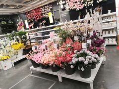 -宜家家居(哈尔滨商场店)