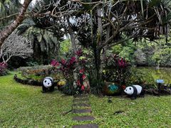 -海南热带野生动植物园