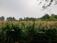 -白鹭湾湿地公园