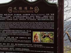 -峨眉山风景名胜区