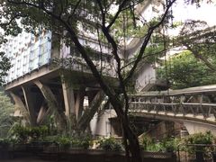-香港大学