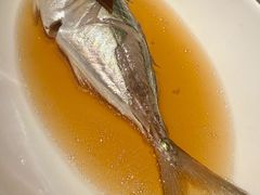 陈皮蒸巴浪鱼-广舟(千禧店)