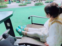 -合肥滨湖国家森林公园