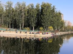 -马家湾湿地公园