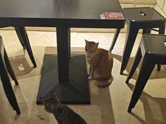 -逃脱反斗城沉浸剧情密室(北京路店)