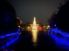 -上海崇明金茂凯悦酒店